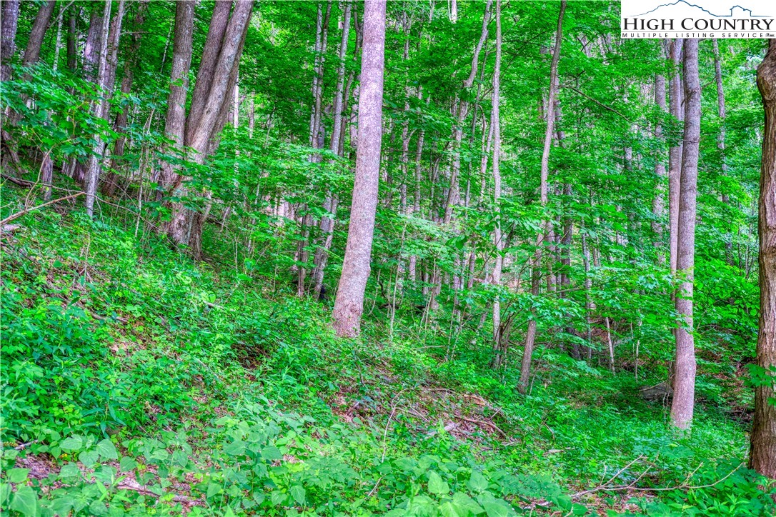 Lot 33 Quail Ridge Drive Property Photo 8