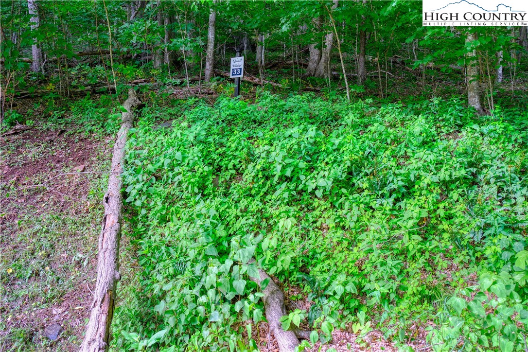 Lot 33 Quail Ridge Drive Property Photo 9