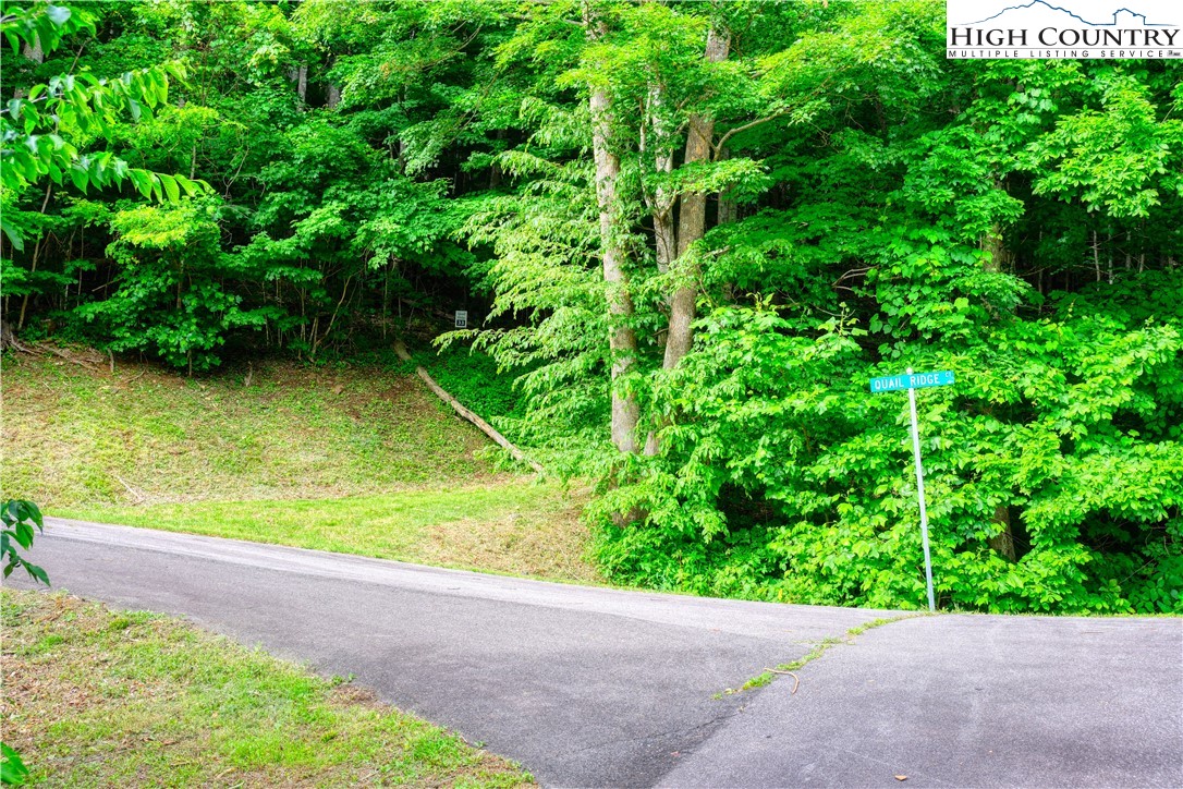 Lot 33 Quail Ridge Drive Property Photo 10