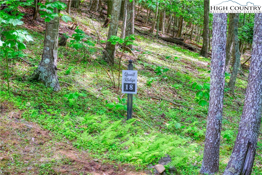 Lot 18 Quail Ridge Drive Property Photo 2