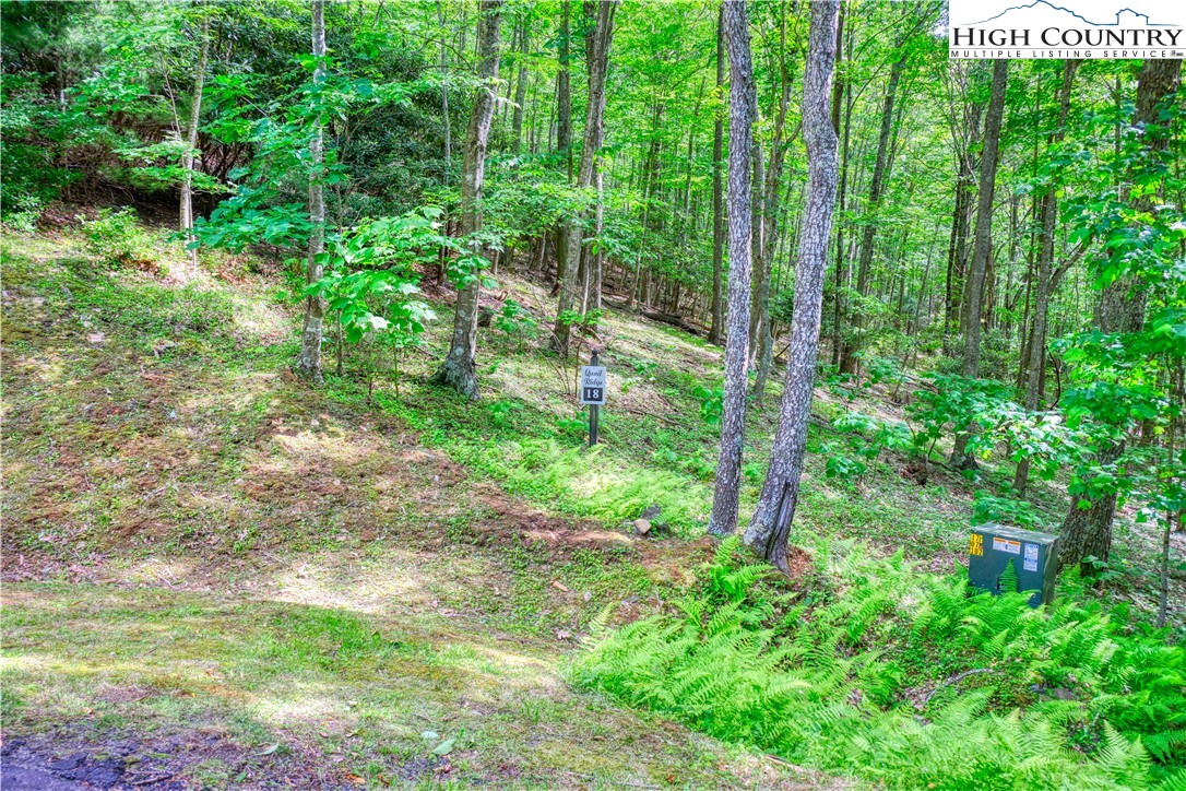 Lot 18 Quail Ridge Drive Property Photo 4