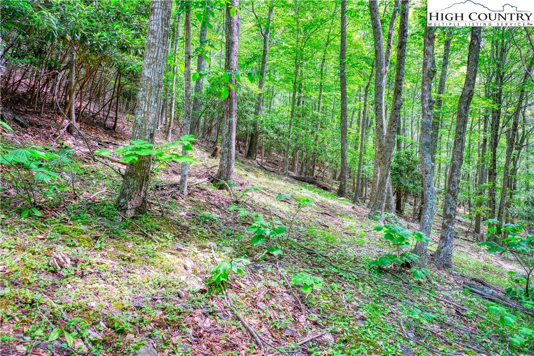 Lot 18 Quail Ridge Drive Property Photo 5
