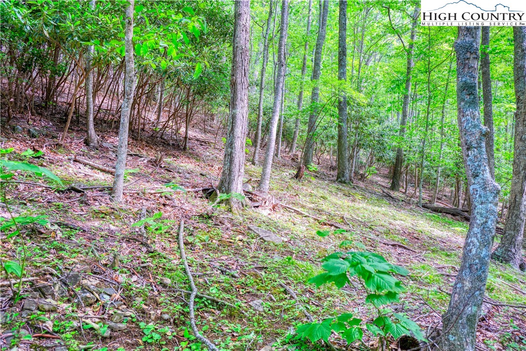 Lot 18 Quail Ridge Drive Property Photo 6