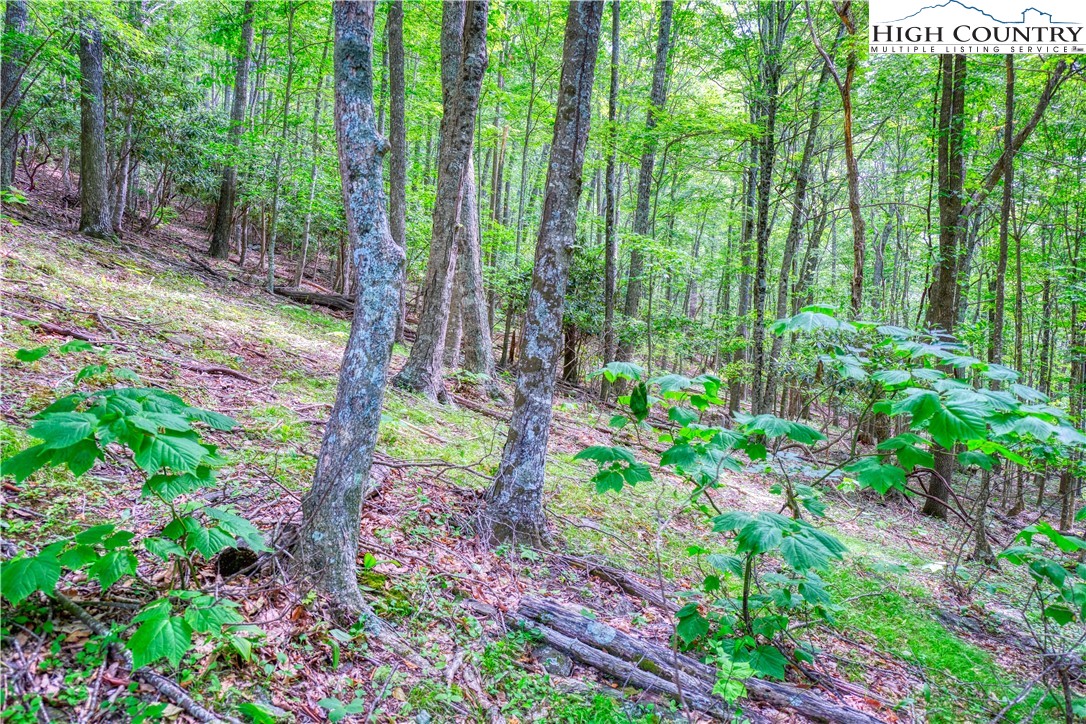 Lot 18 Quail Ridge Drive Property Photo 7