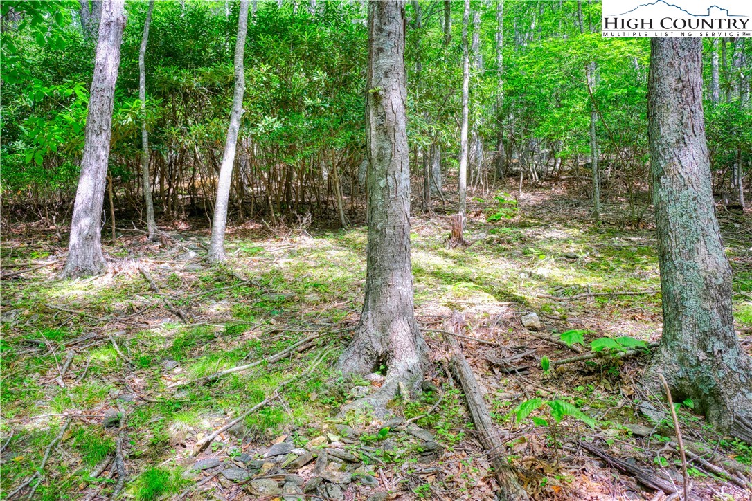 Lot 18 Quail Ridge Drive Property Photo 8