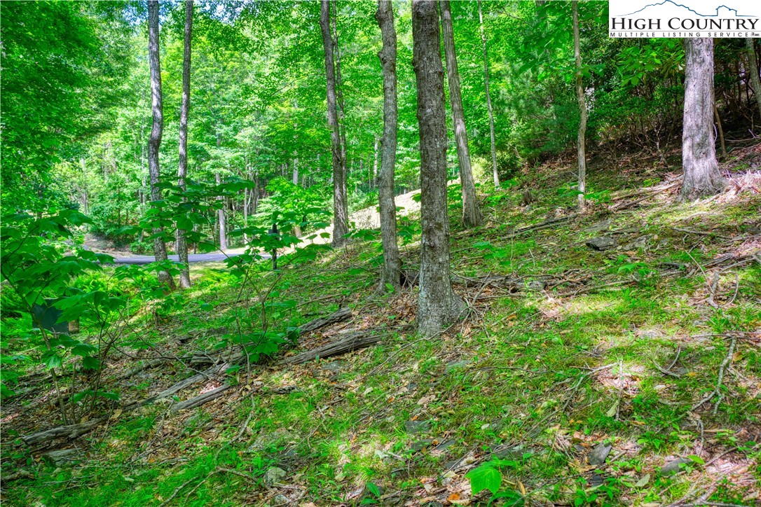Lot 18 Quail Ridge Drive Property Photo 9