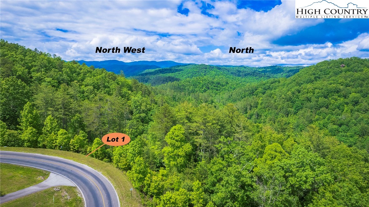 Lot 1 Reynolds Parkway Property Photo 1