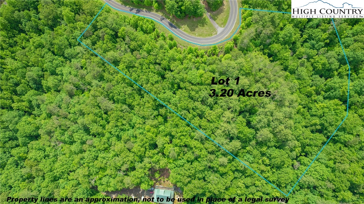 Lot 1 Reynolds Parkway Property Photo 2