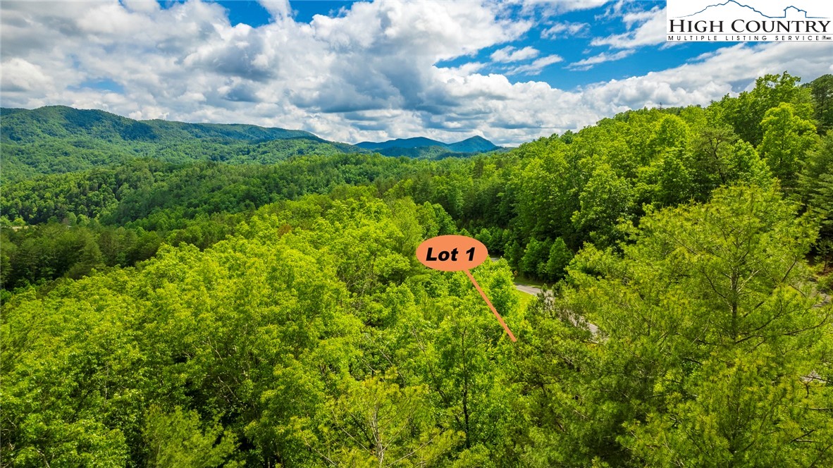 Lot 1 Reynolds Parkway Property Photo 4