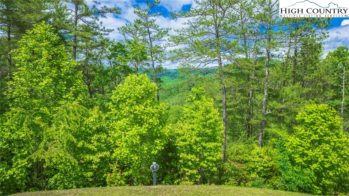 Lot 1 Reynolds Parkway Property Photo 5