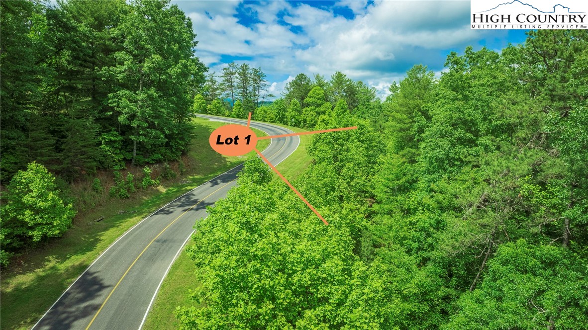 Lot 1 Reynolds Parkway Property Photo 6