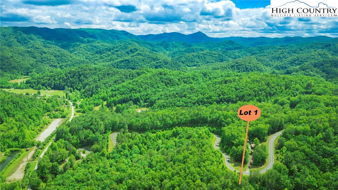 Lot 1 Reynolds Parkway Property Photo 8