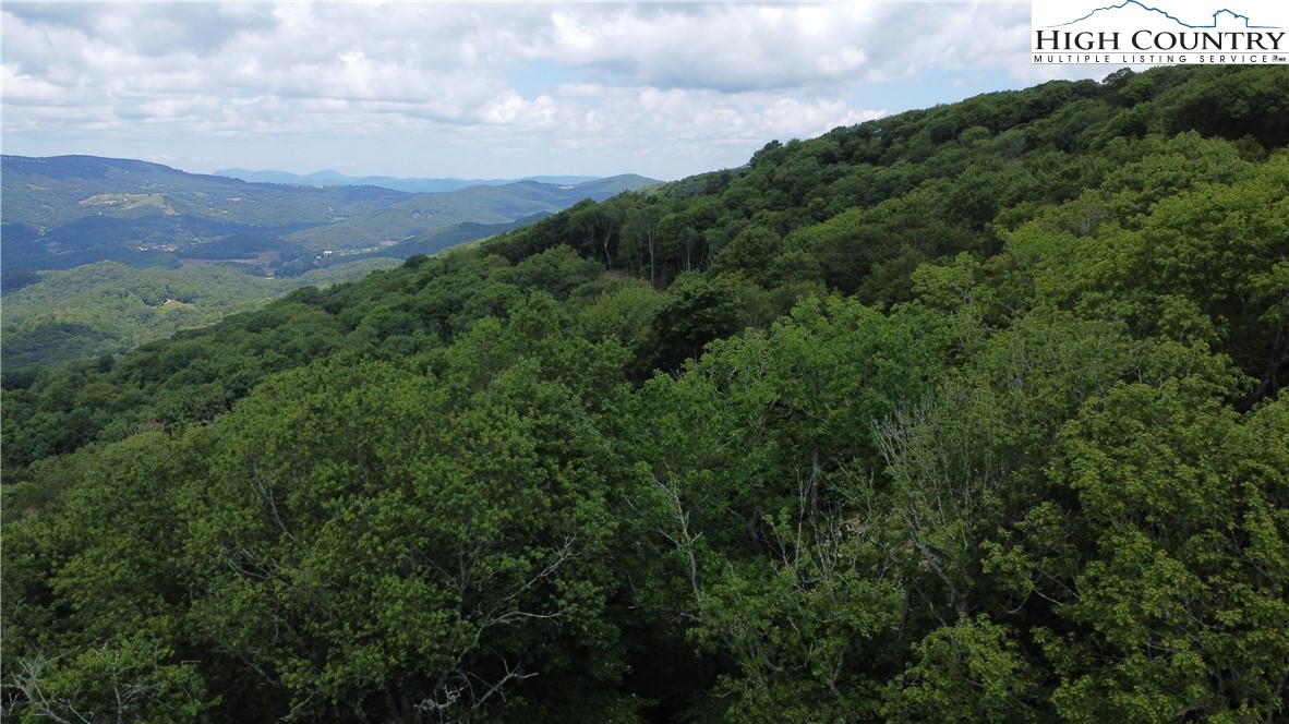 Lot 6 South View Trail Property Photo 6