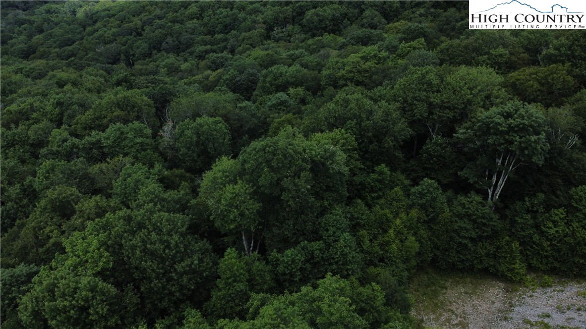 Lot 6 South View Trail Property Photo 7