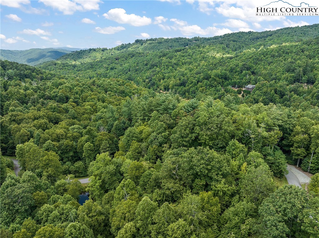 Lot L3 Woodlake Loop Road Property Photo 6