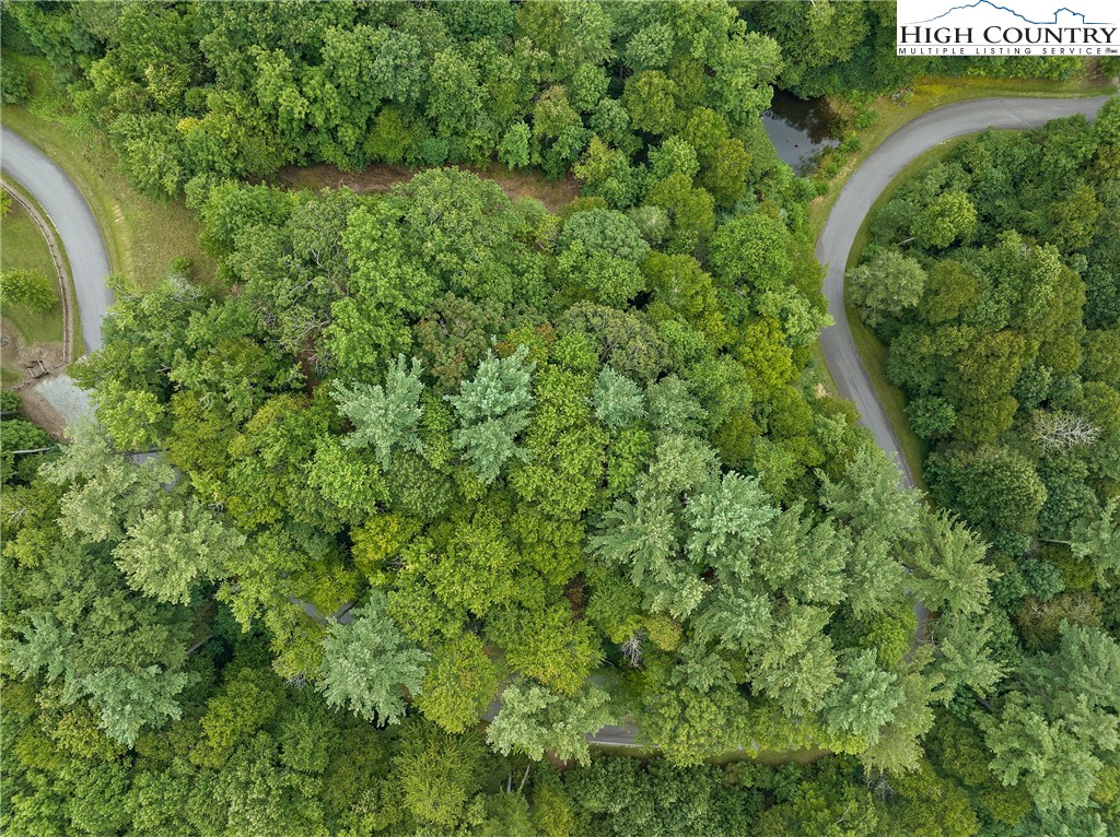 Lot L3 Woodlake Loop Road Property Photo 7