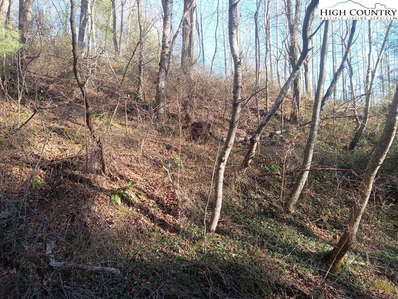 Tbd Orchard Creek Road Property Photo 4