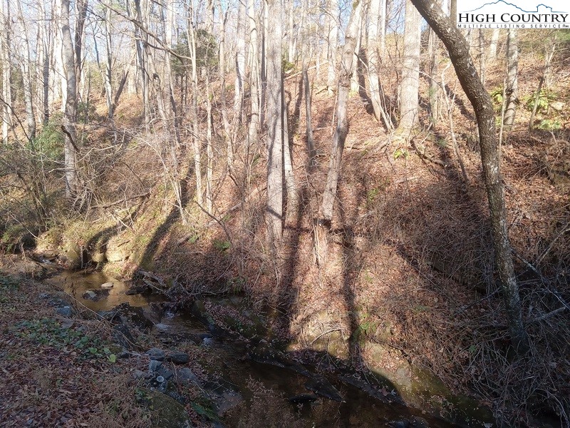 Tbd Orchard Creek Road Property Photo 5