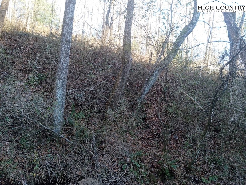 Tbd Orchard Creek Road Property Photo 7