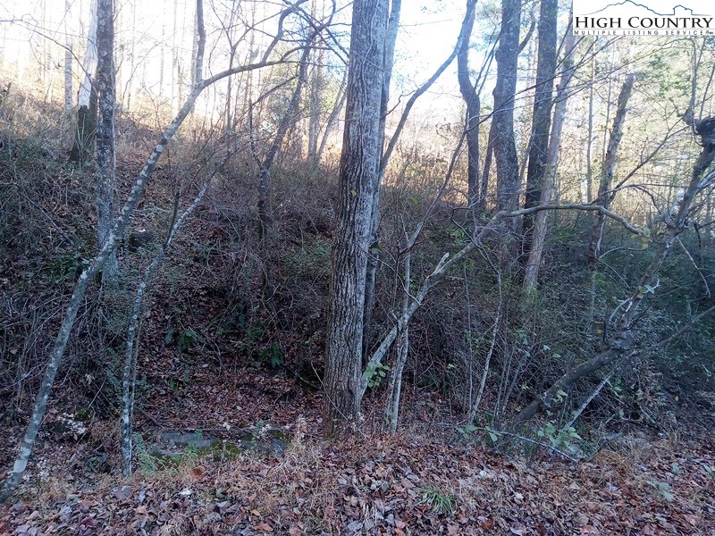 Tbd Orchard Creek Road Property Photo 8