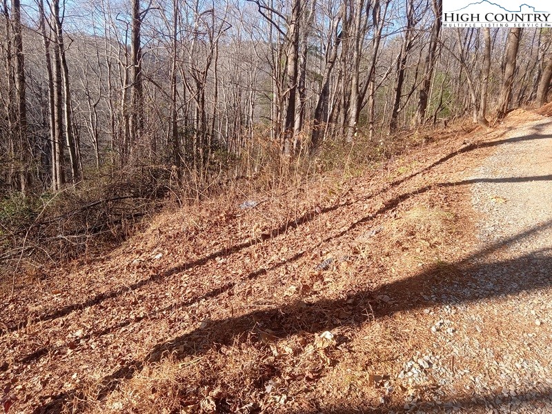 Tbd Orchard Creek Road Property Photo 9
