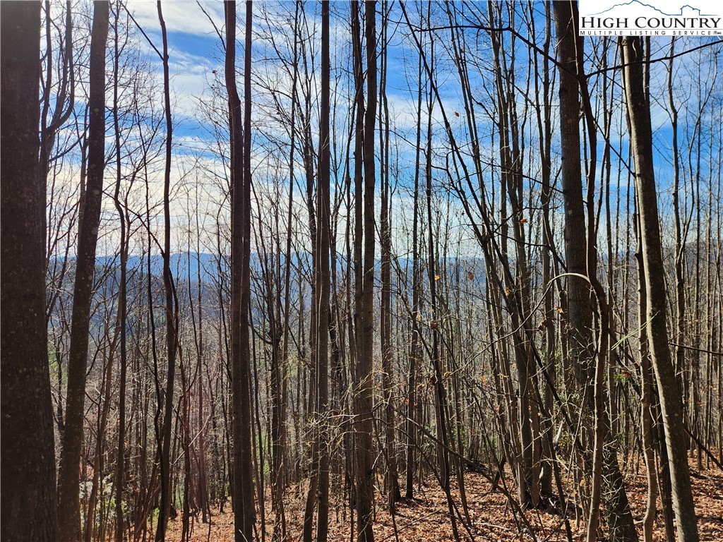 6900 Mertie Road Property Photo 1