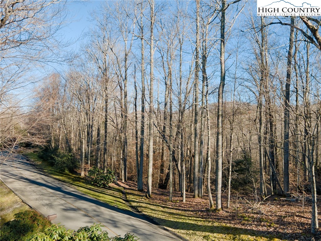 Lot 52 Raven Ridge Road Property Photo 1