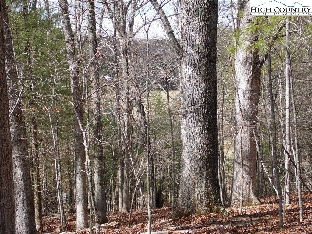Tbd Happy Woods Drive Property Photo 2
