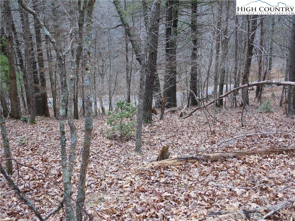 Tbd Happy Woods Drive Property Photo 8