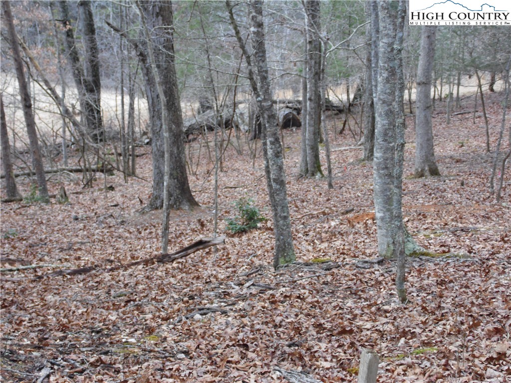 Tbd Happy Woods Drive Property Photo 12