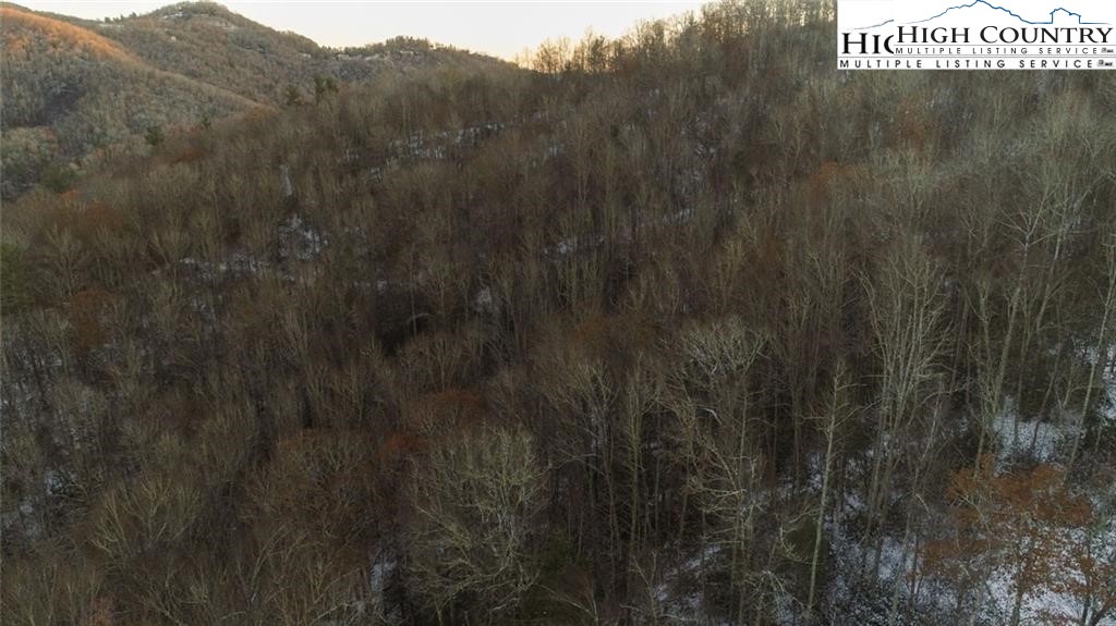 Lot 32 Willow Creek Estates Property Photo 4