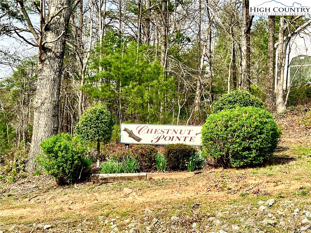 3114 Mountain Laurel Drive Property Photo 1