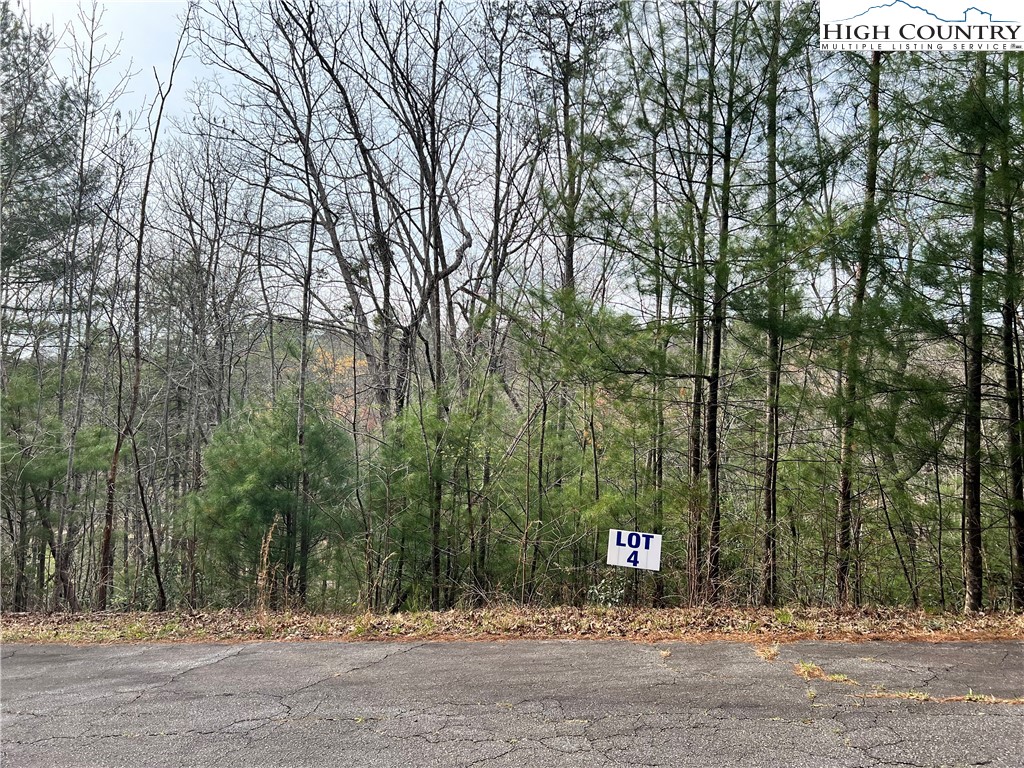 3114 Mountain Laurel Drive Property Photo 2