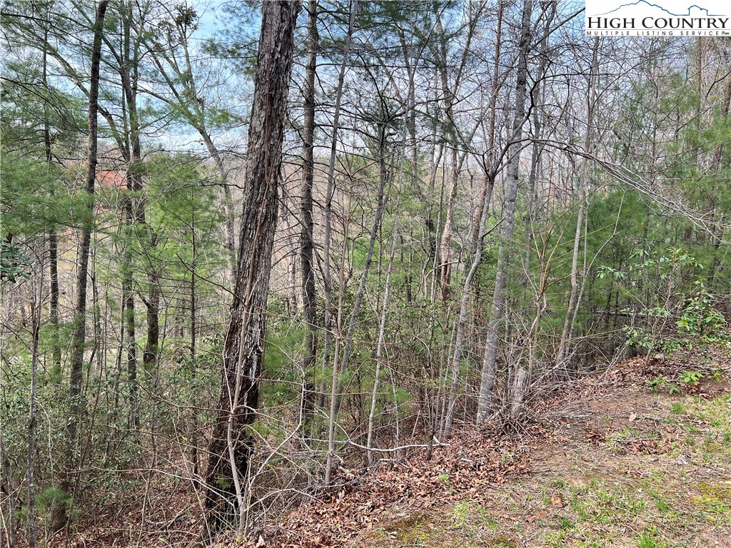 3114 Mountain Laurel Drive Property Photo 3