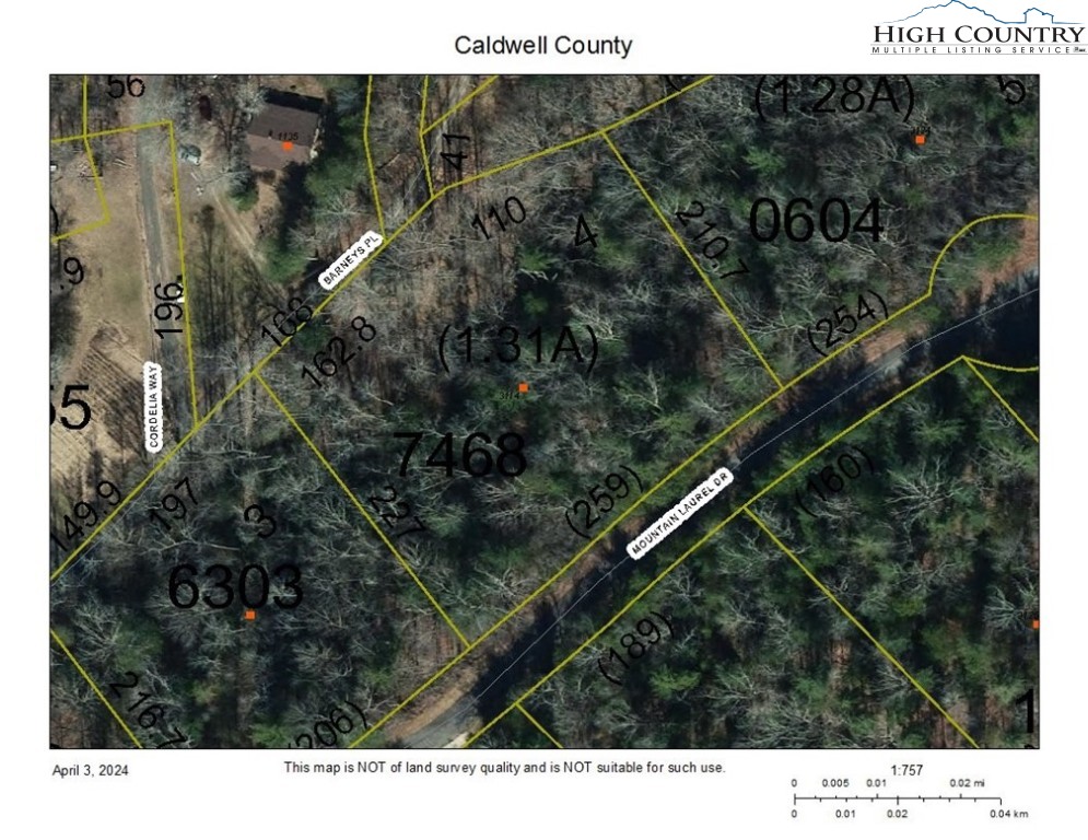 3114 Mountain Laurel Drive Property Photo 5