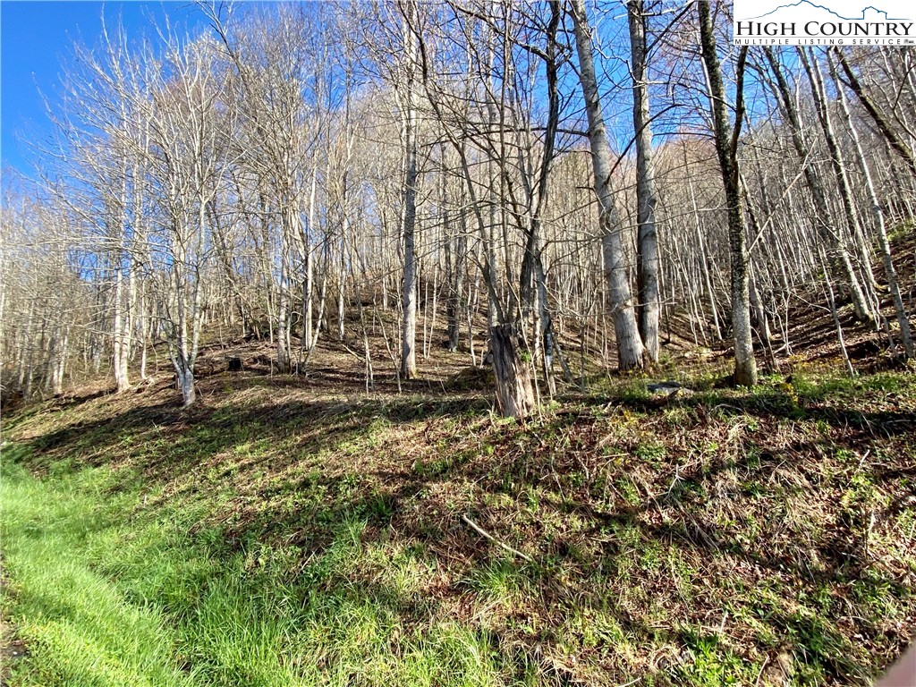 14842 Nc 226 N Highway Property Photo 1