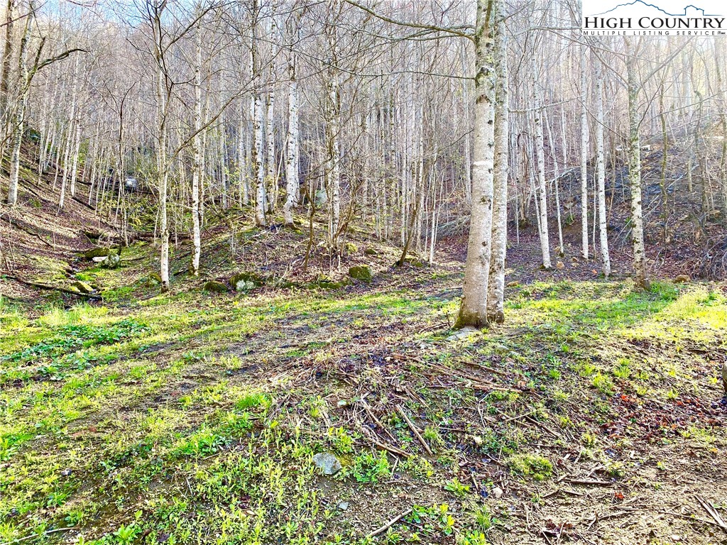 14842 Nc 226 N Highway Property Photo 2