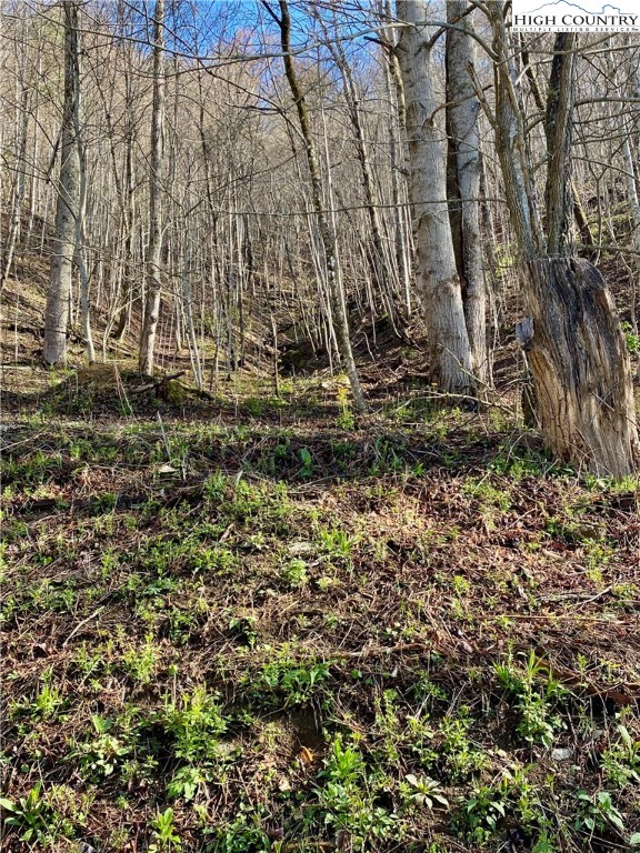 14842 Nc 226 N Highway Property Photo 4