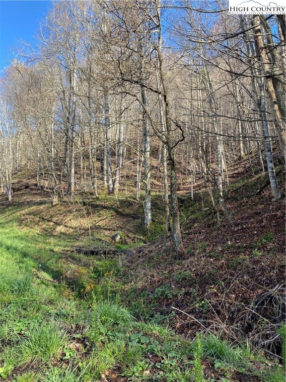 14842 Nc 226 N Highway Property Photo 6