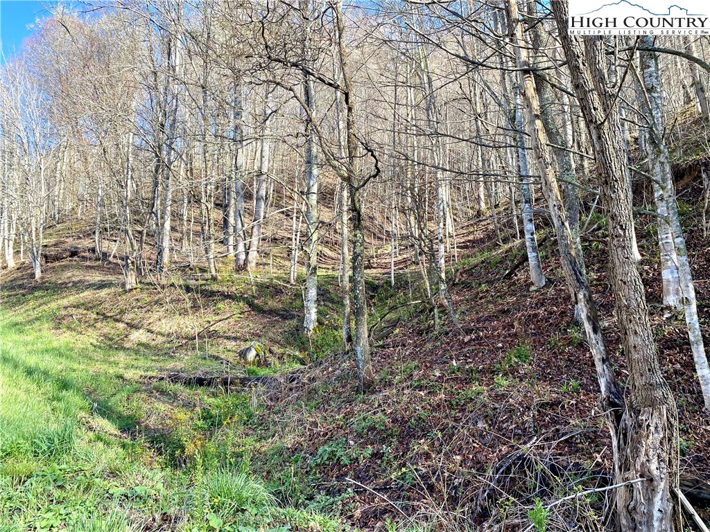 14842 Nc 226 N Highway Property Photo 7