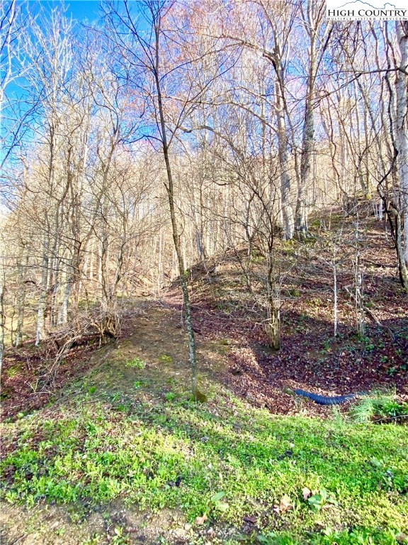 14842 Nc 226 N Highway Property Photo 8