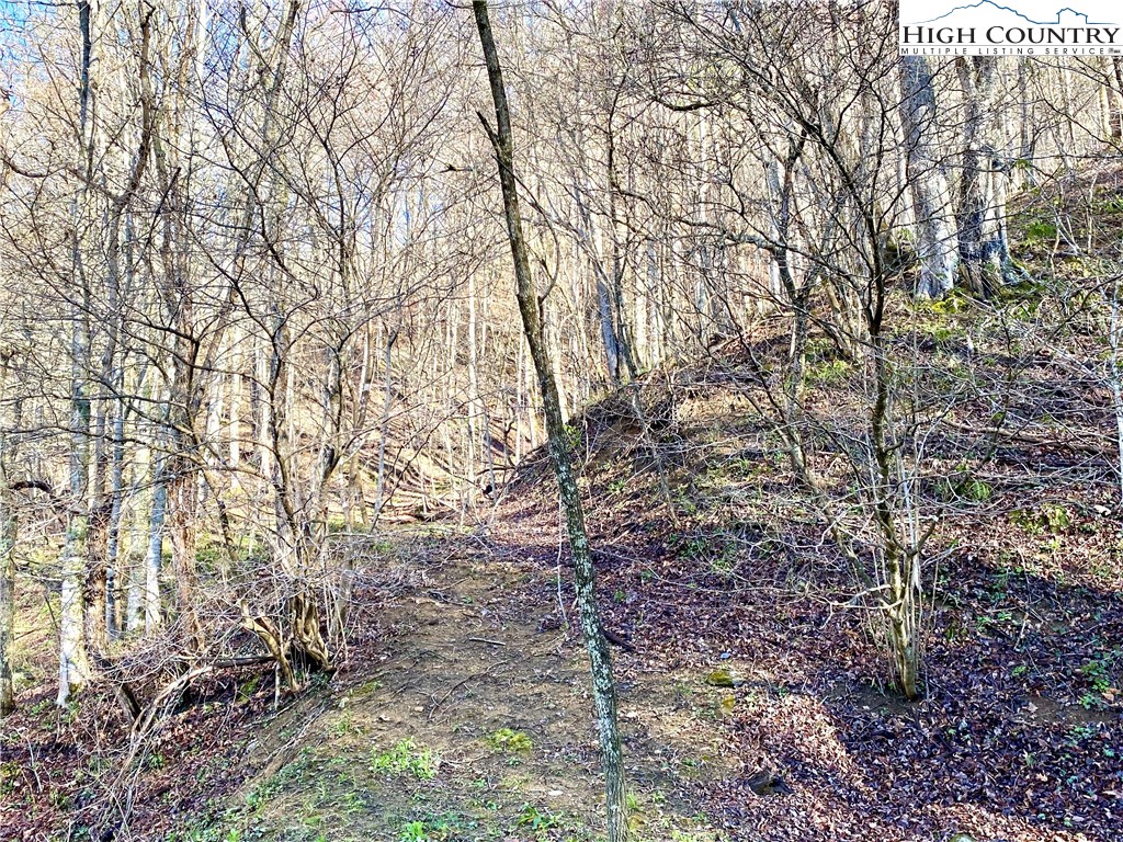 14842 Nc 226 N Highway Property Photo 9
