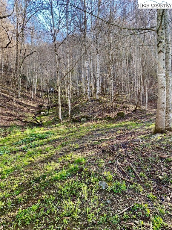 14842 Nc 226 N Highway Property Photo 11