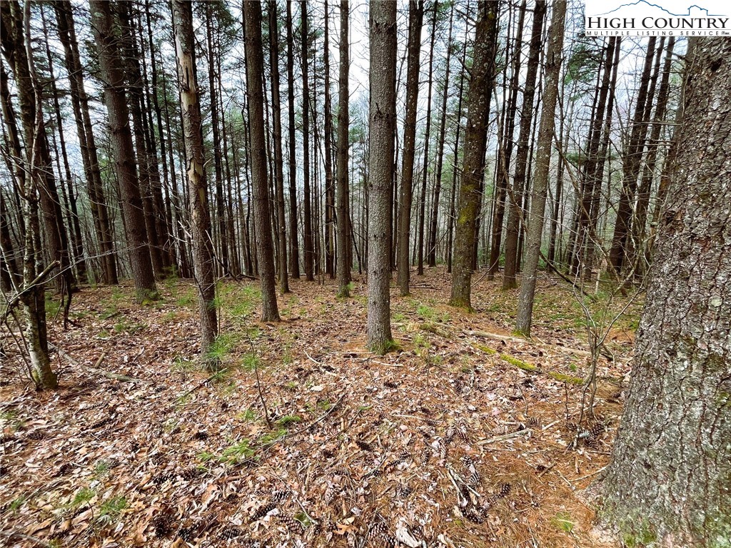 Lot #25 Cedar Ridge Drive Property Photo 2