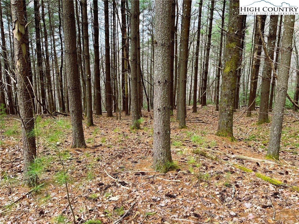 Lot #25 Cedar Ridge Drive Property Photo 3