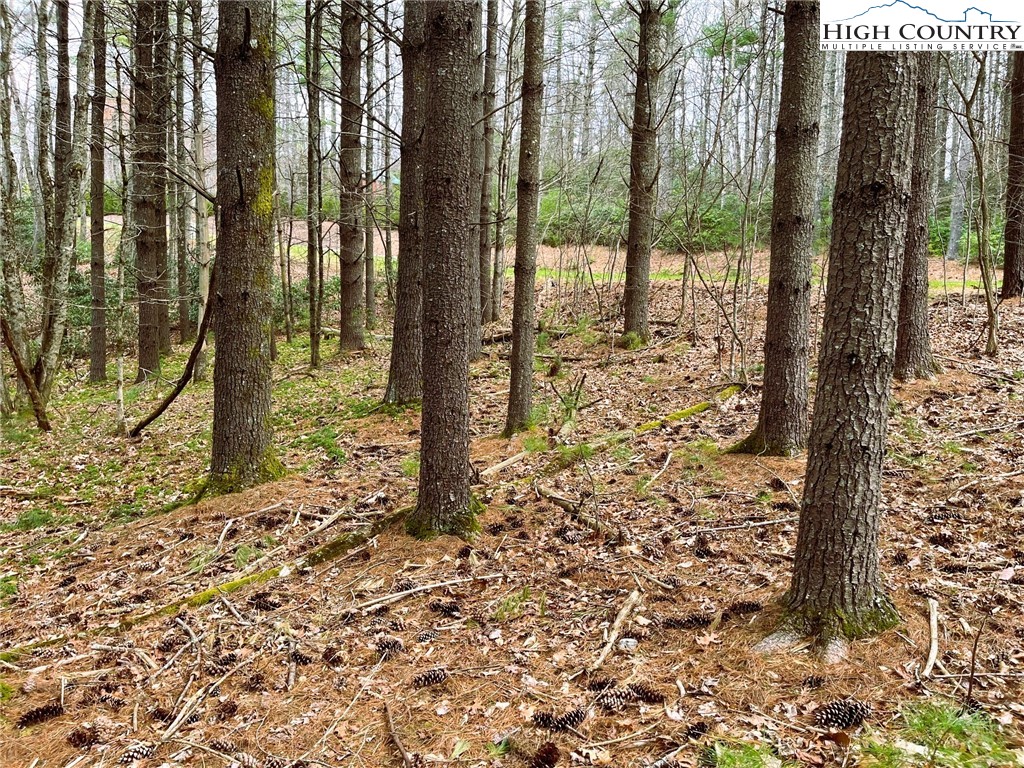 Lot #25 Cedar Ridge Drive Property Photo 4