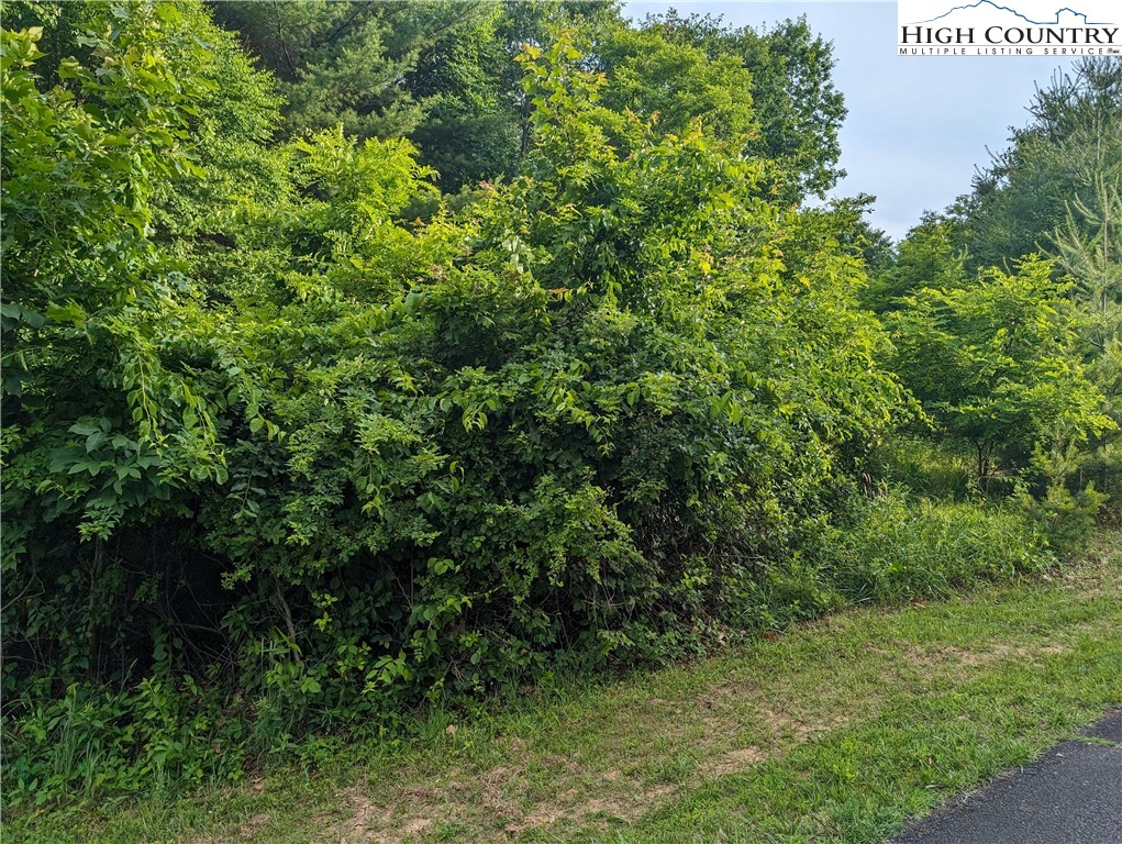 Lot 1 Briarwood Lane Property Photo 6