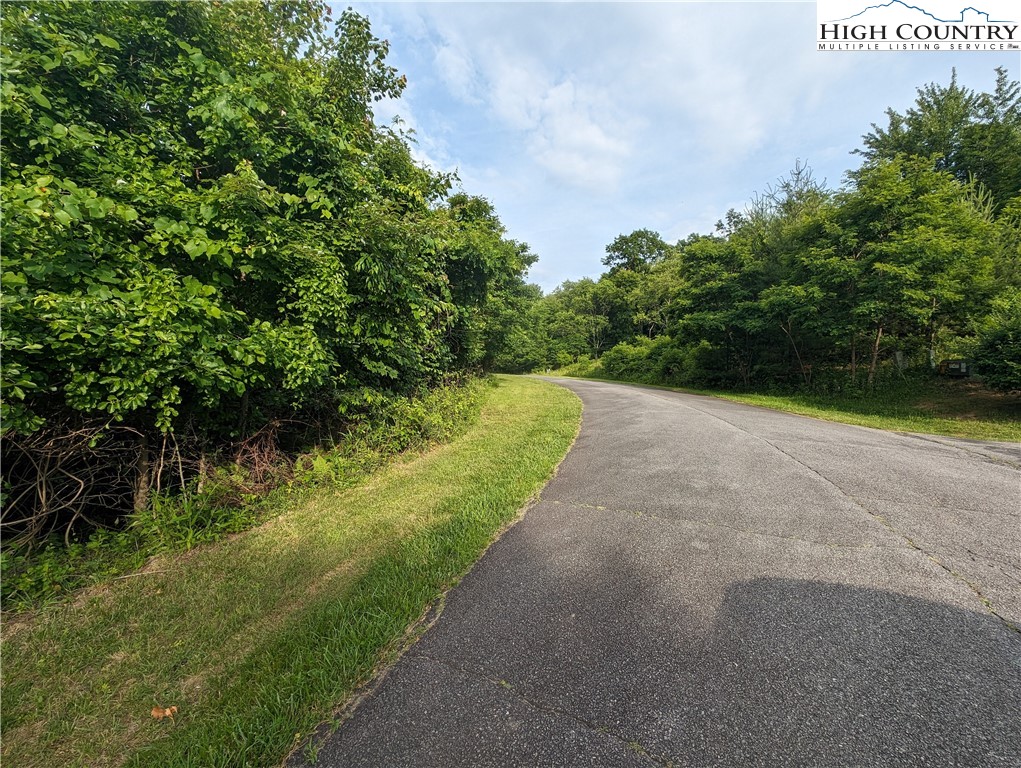 Lot 4 Briarwood Lane Property Photo 6