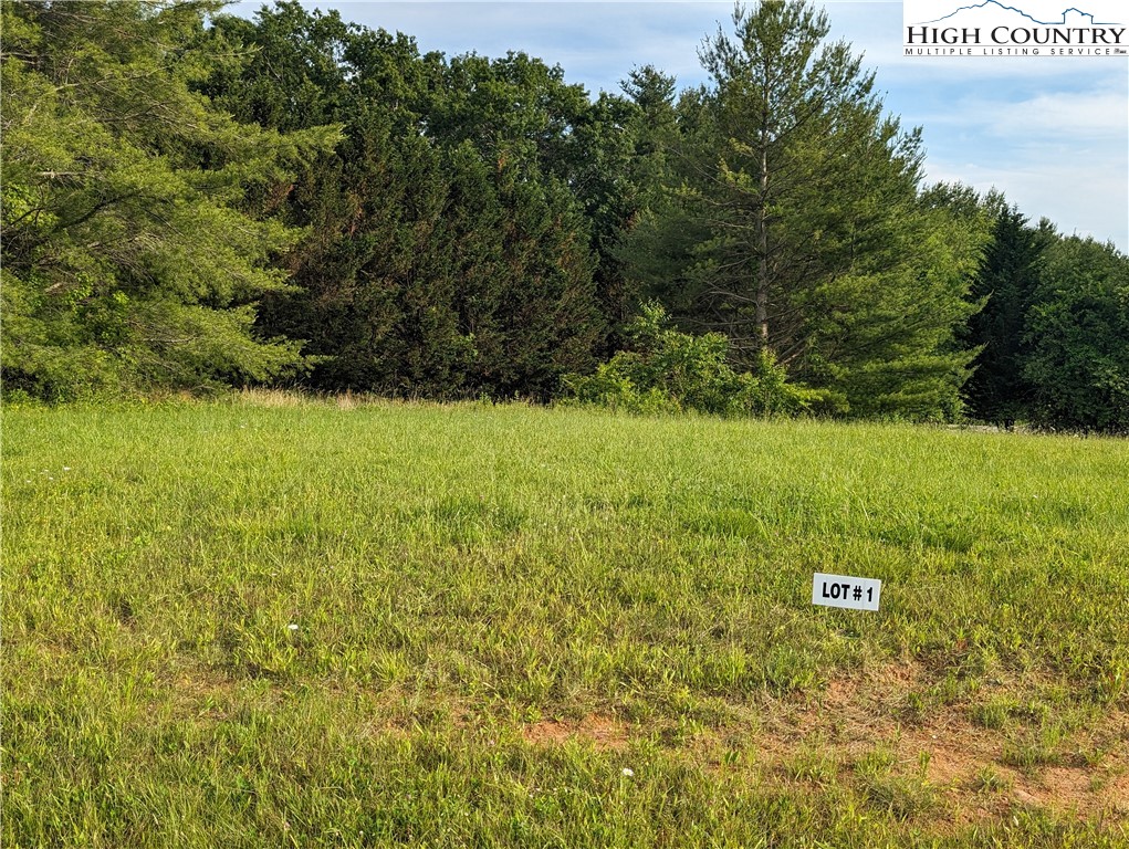 Lot 1 River Creek Drive Property Photo 3