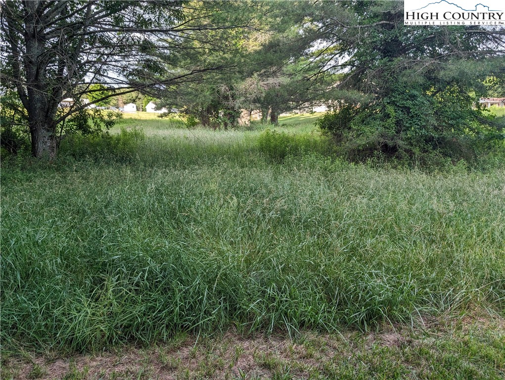 Lot 11 Sugar Creek Lane Property Photo 3